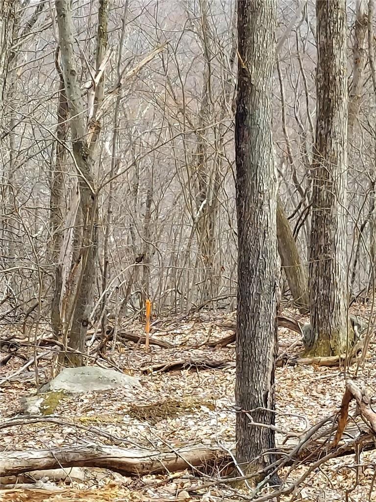 489 Grape Hollow Road Out of NYC Holmes, NY 12531