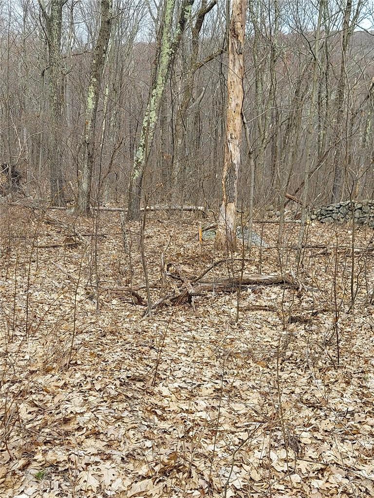 489 Grape Hollow Road Out of NYC Holmes, NY 12531