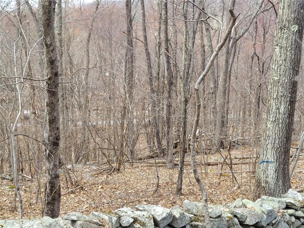 489 Grape Hollow Road Out of NYC Holmes, NY 12531