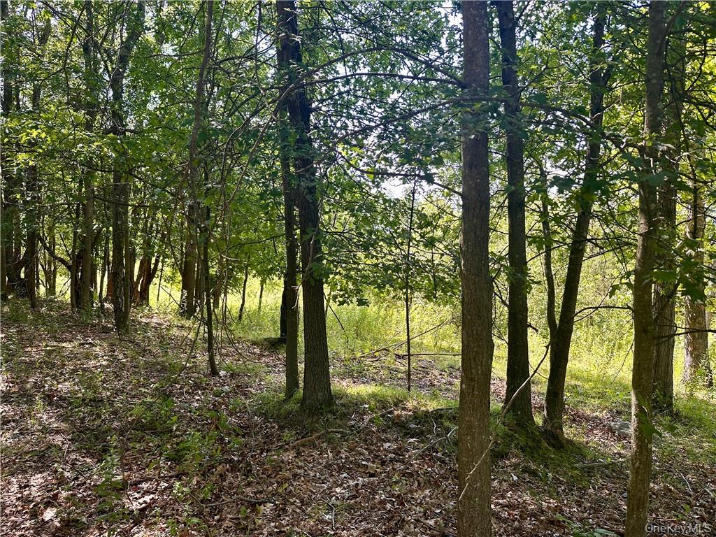 32 Mountainside Drive Out of NYC Chester, NY 10918