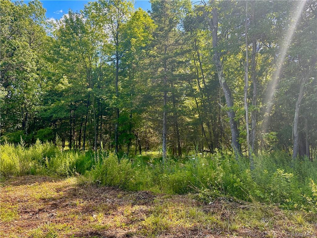 32 Mountainside Drive Out of NYC Chester, NY 10918