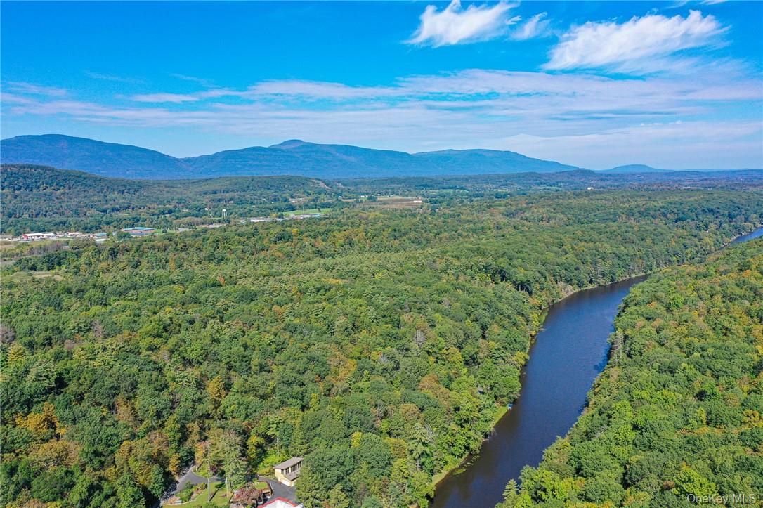 Tiger Maple Out of NYC Saugerties, NY 12477