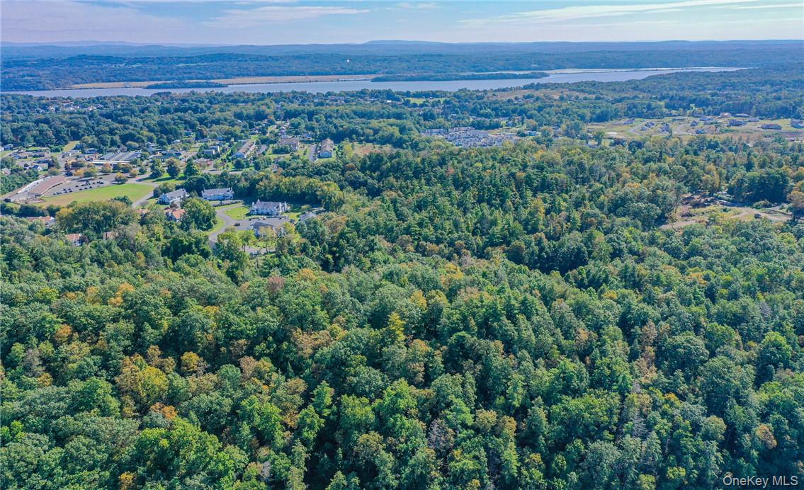 Tiger Maple Out of NYC Saugerties, NY 12477