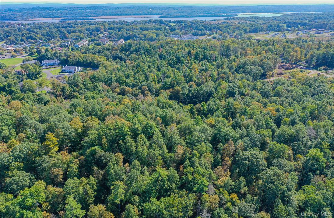 Tiger Maple Out of NYC Saugerties, NY 12477