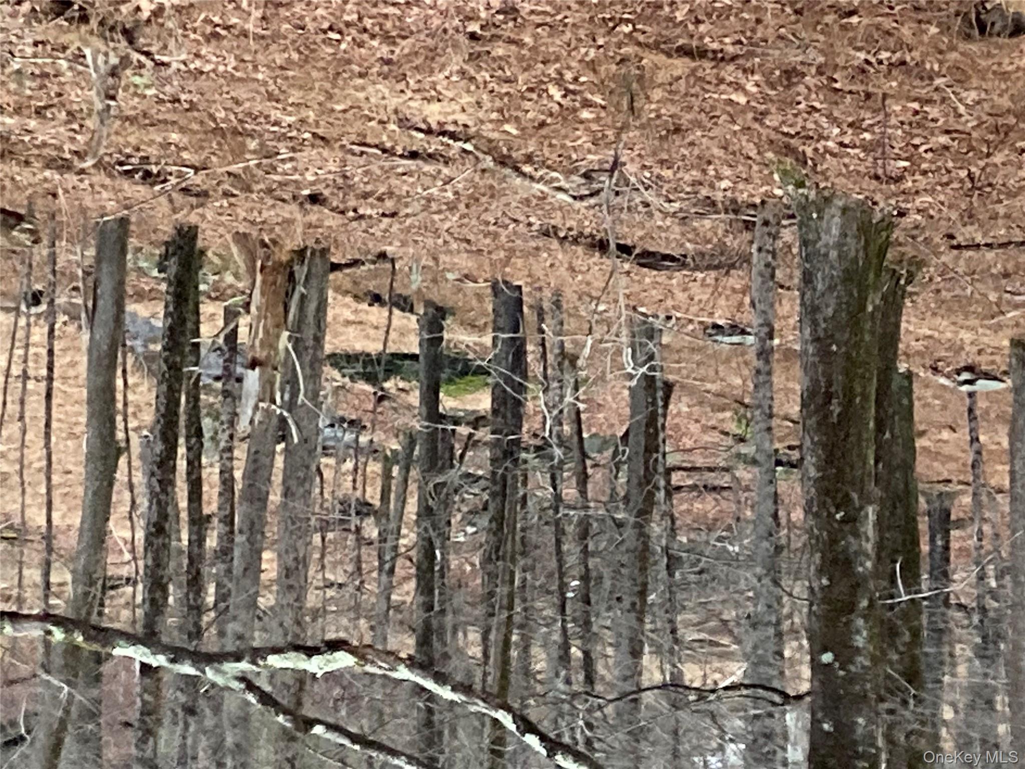 Red Hill Road Out of NYC Wurtsboro, NY 12790