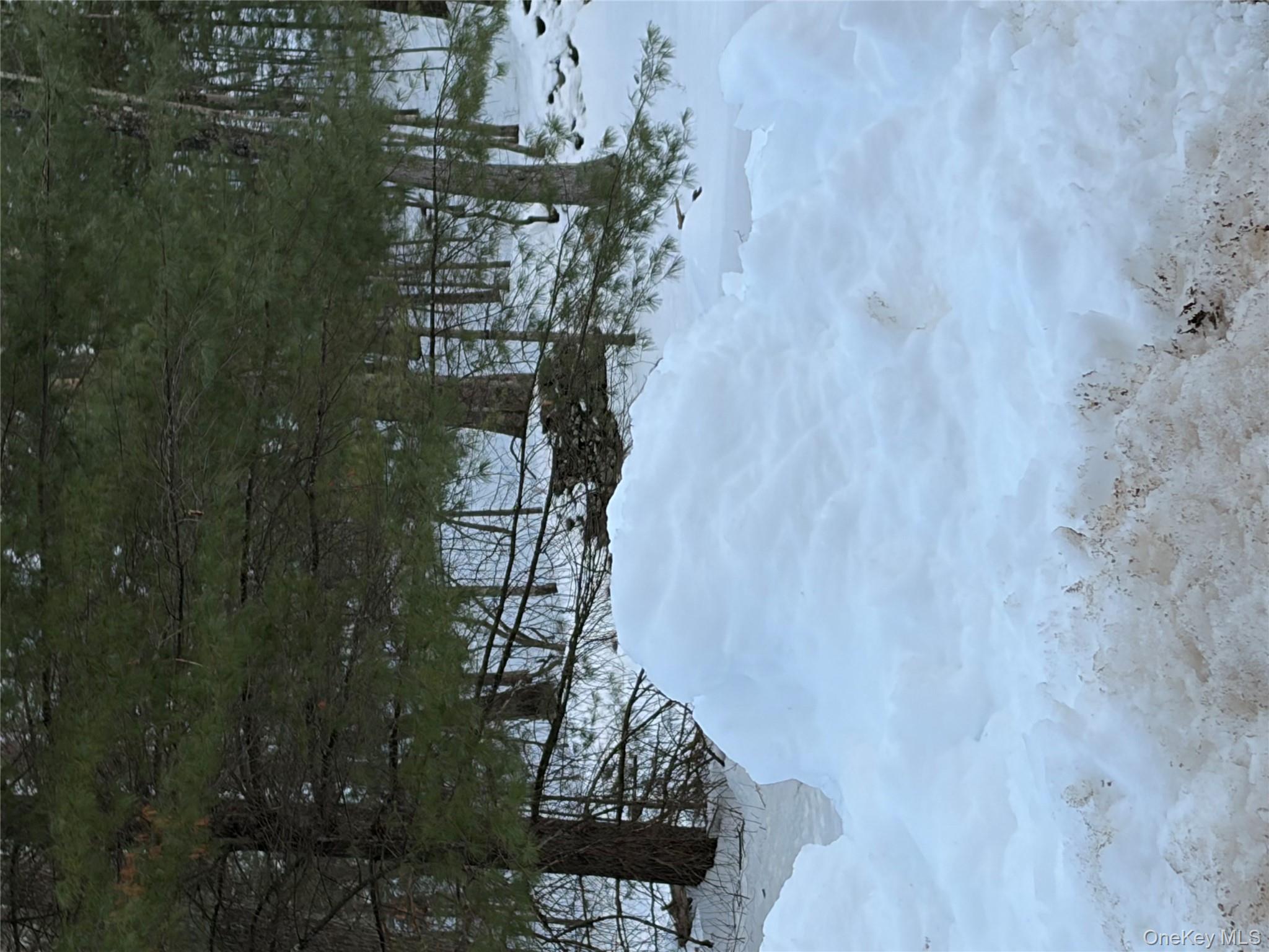 Red Hill Road Out of NYC Wurtsboro, NY 12790