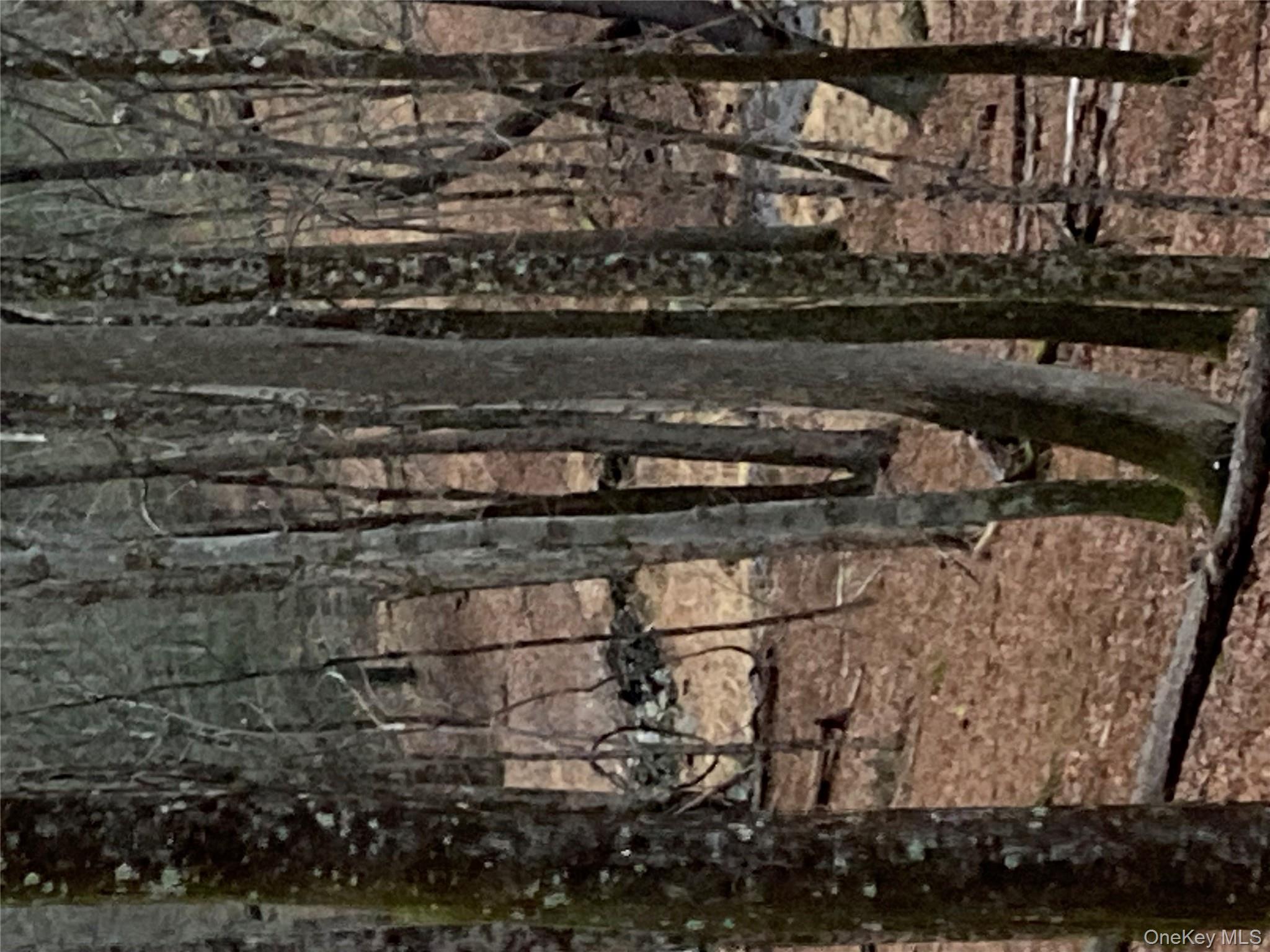 Red Hill Road Out of NYC Wurtsboro, NY 12790