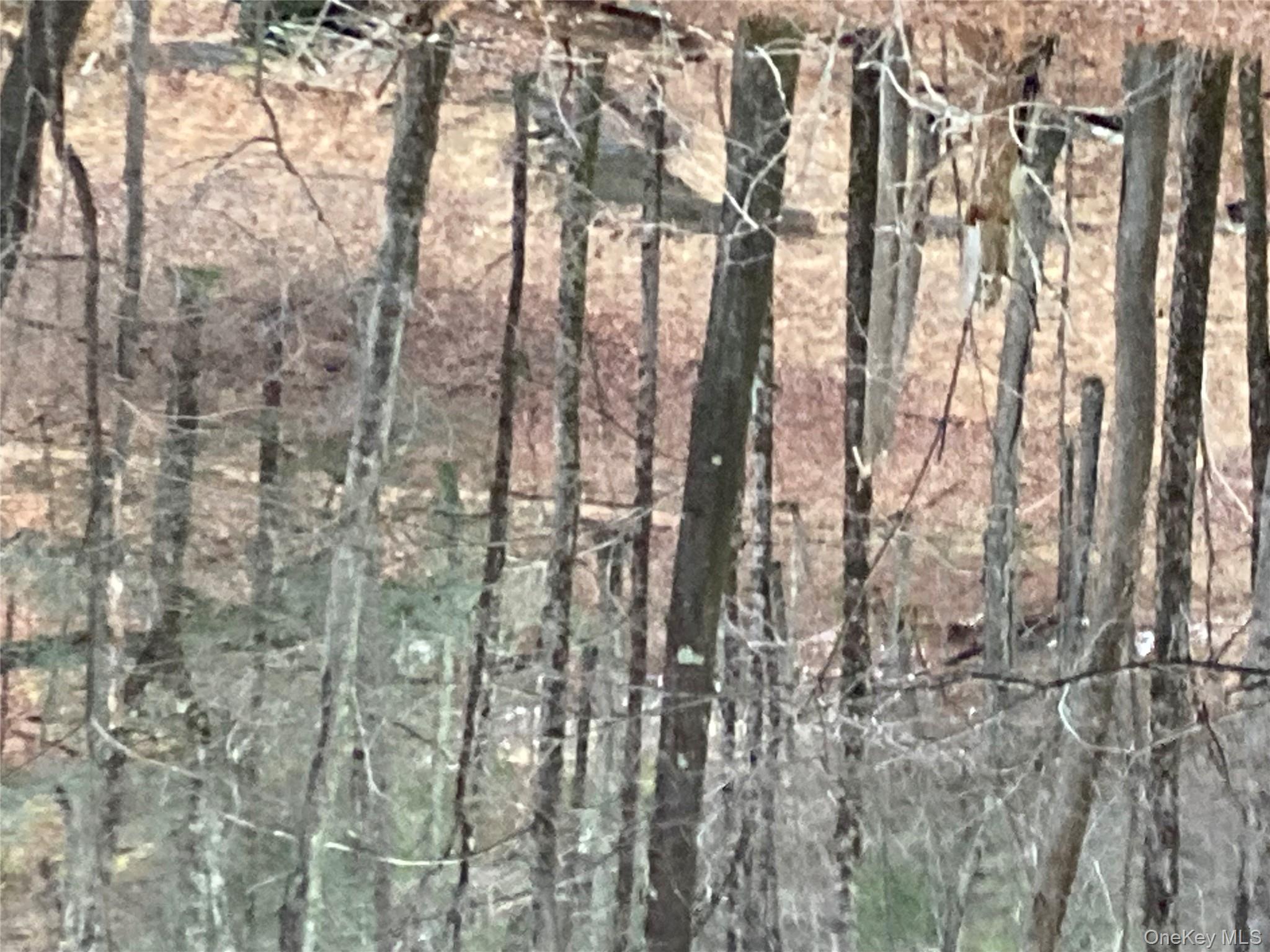 Red Hill Road Out of NYC Wurtsboro, NY 12790