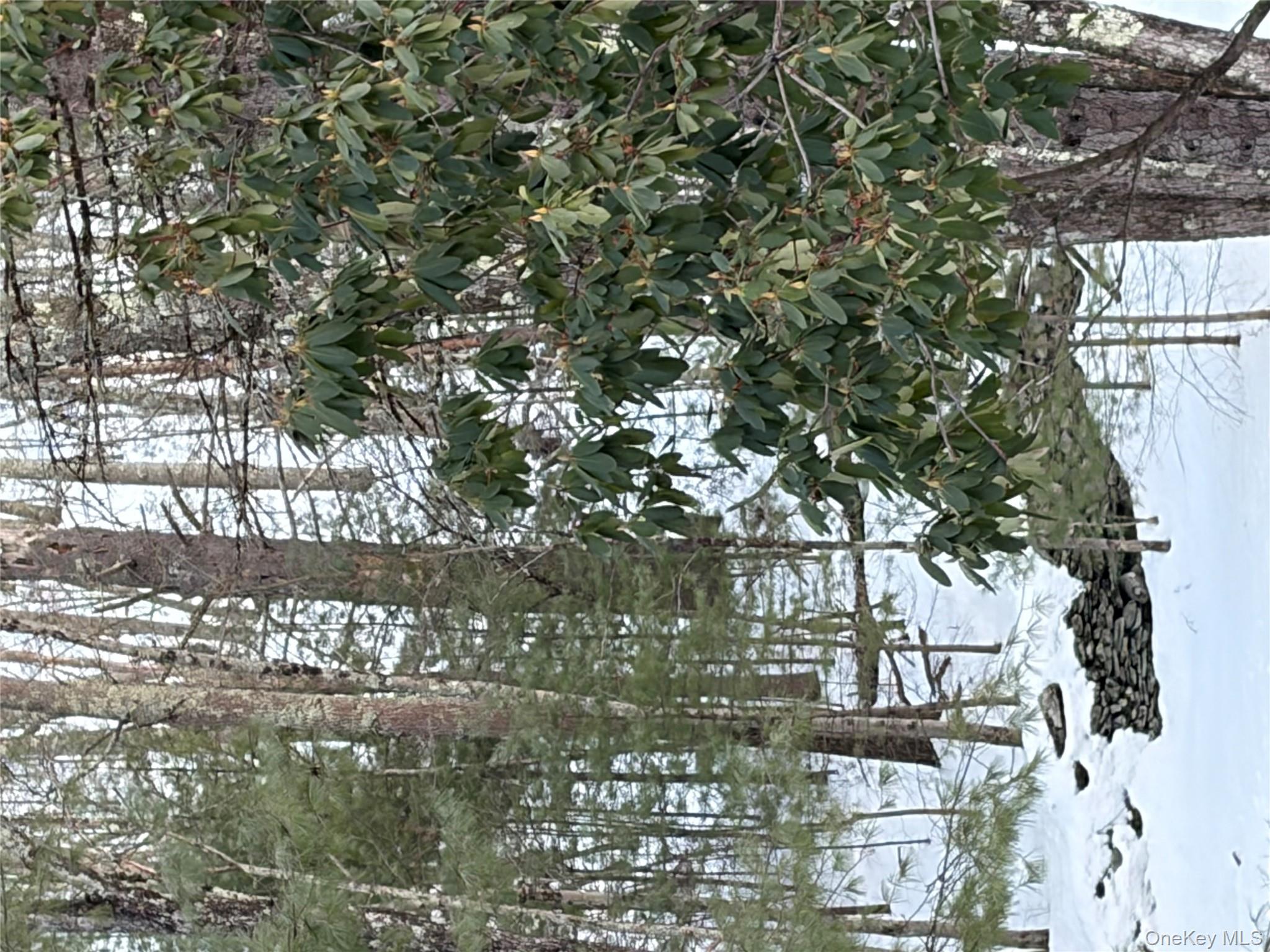 Red Hill Road Out of NYC Wurtsboro, NY 12790