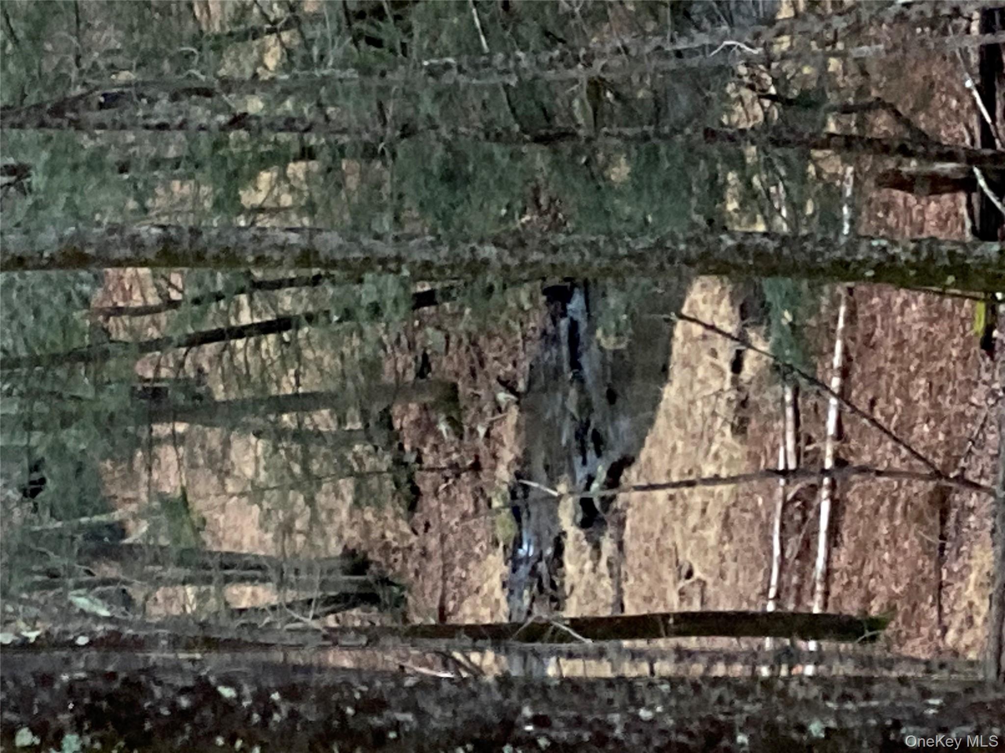 Red Hill Road Out of NYC Wurtsboro, NY 12790