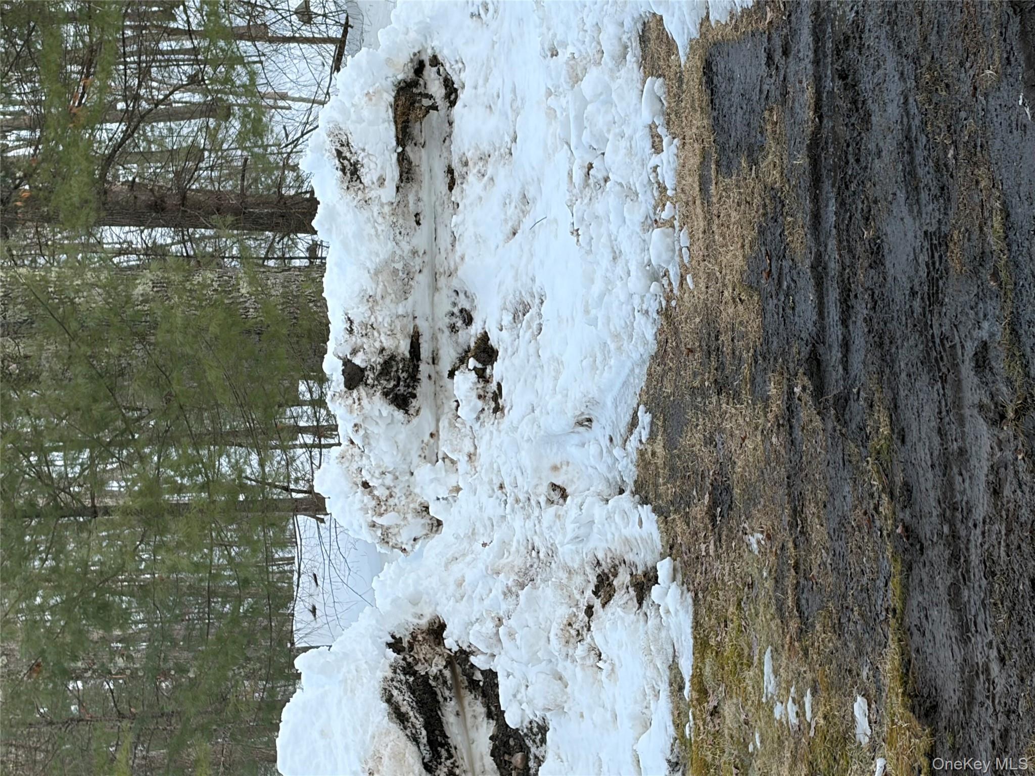 Red Hill Road Out of NYC Wurtsboro, NY 12790