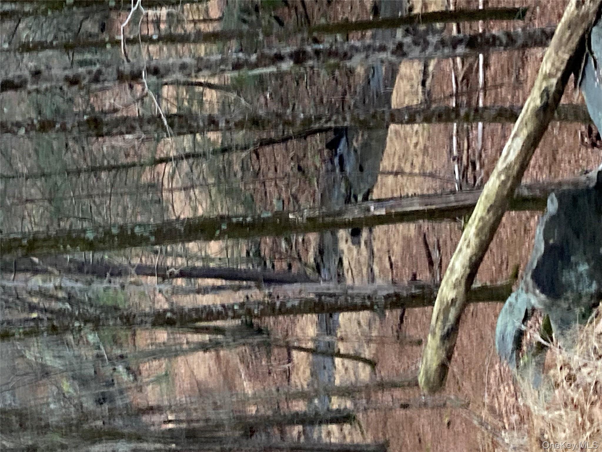 Red Hill Road Out of NYC Wurtsboro, NY 12790