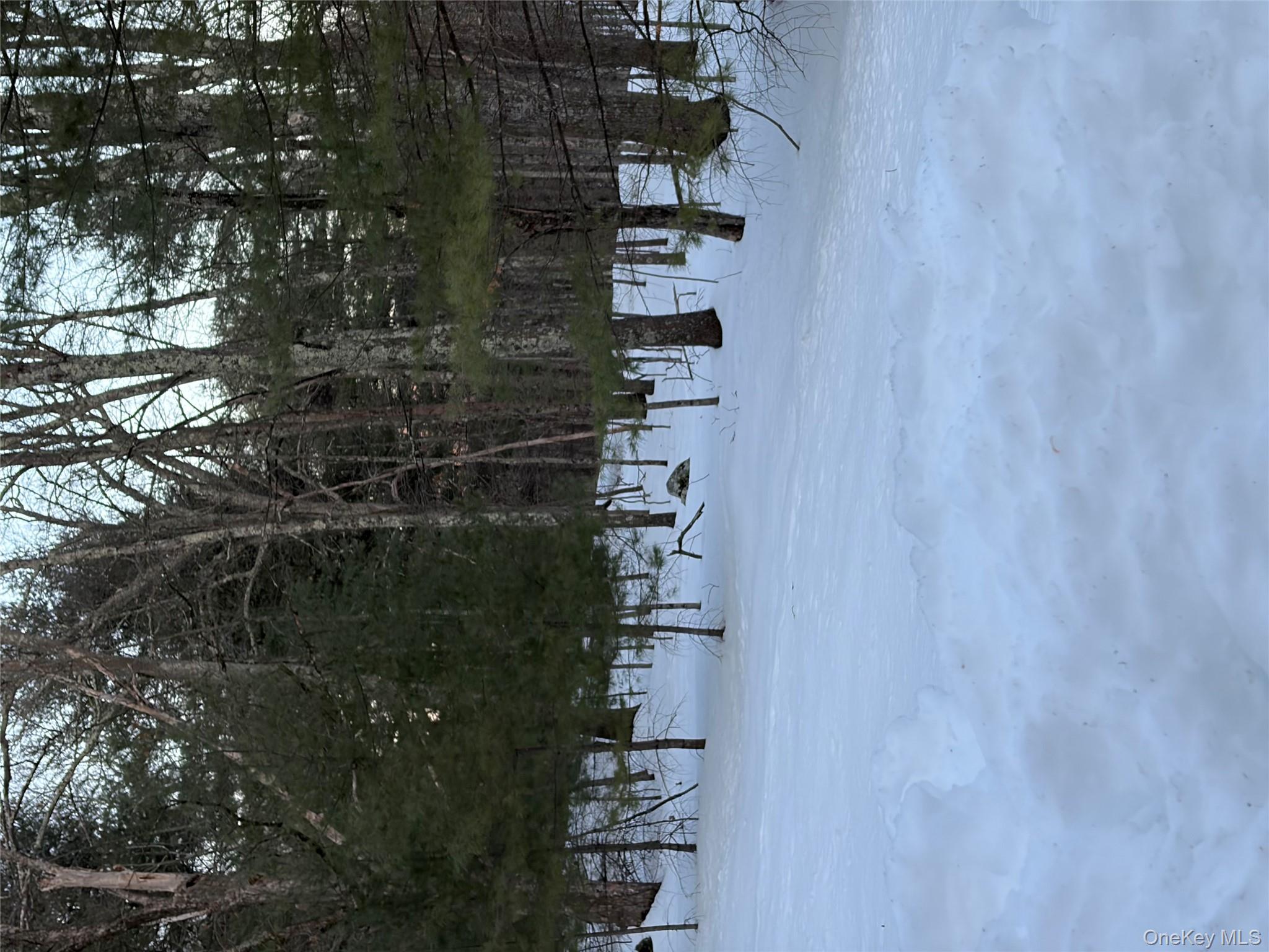 Red Hill Road Out of NYC Wurtsboro, NY 12790