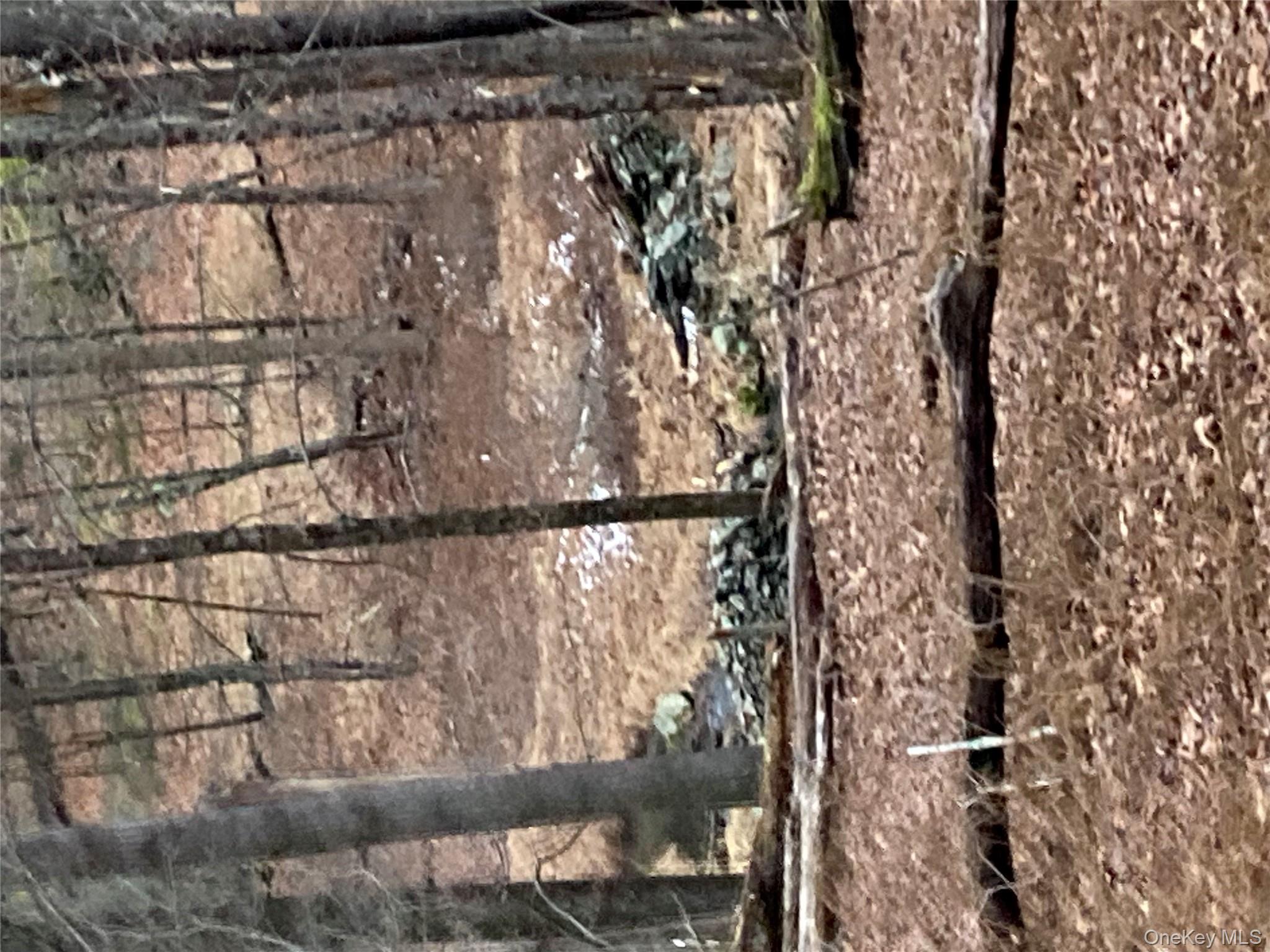 Red Hill Road Out of NYC Wurtsboro, NY 12790