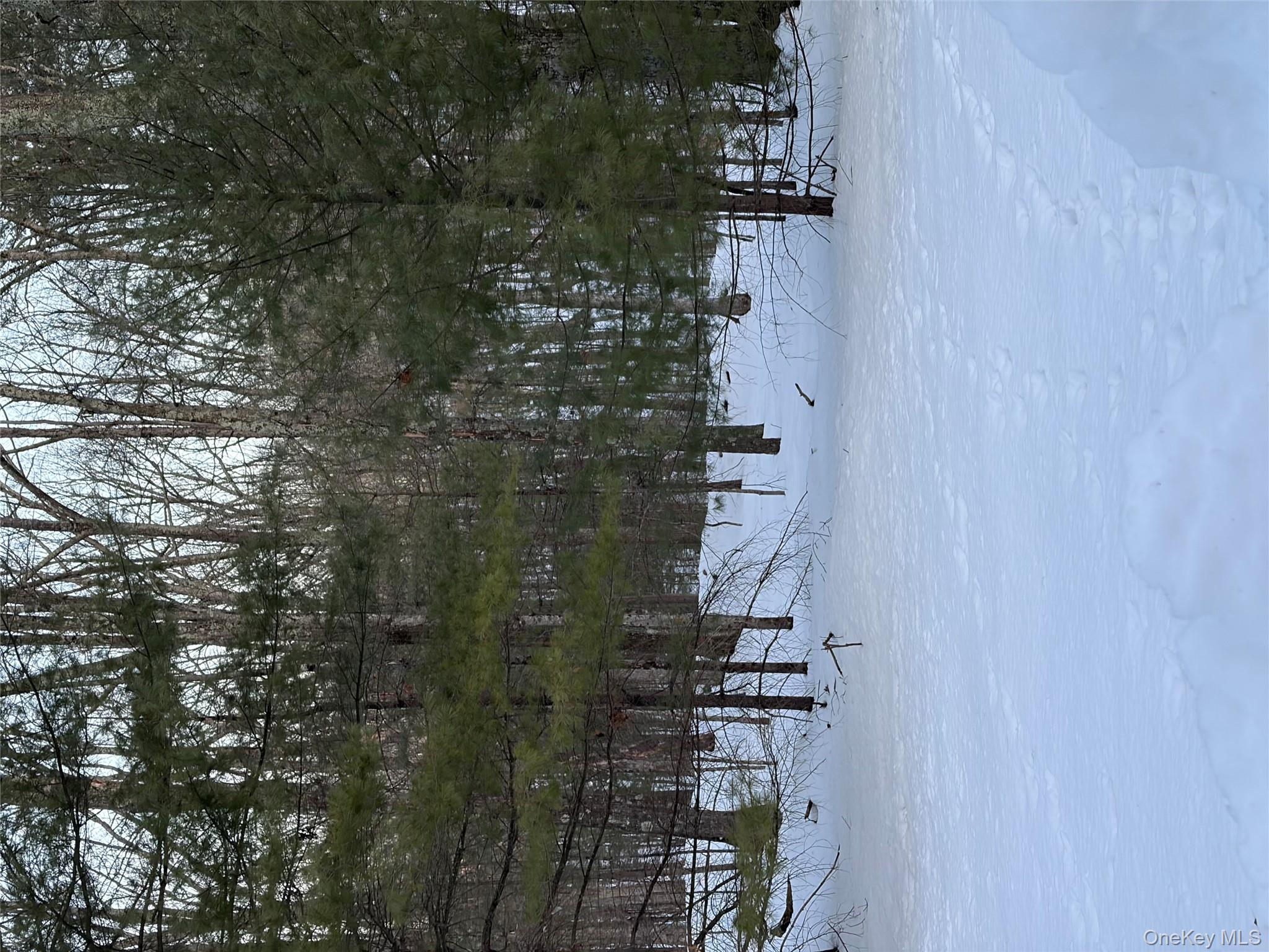 Red Hill Road Out of NYC Wurtsboro, NY 12790