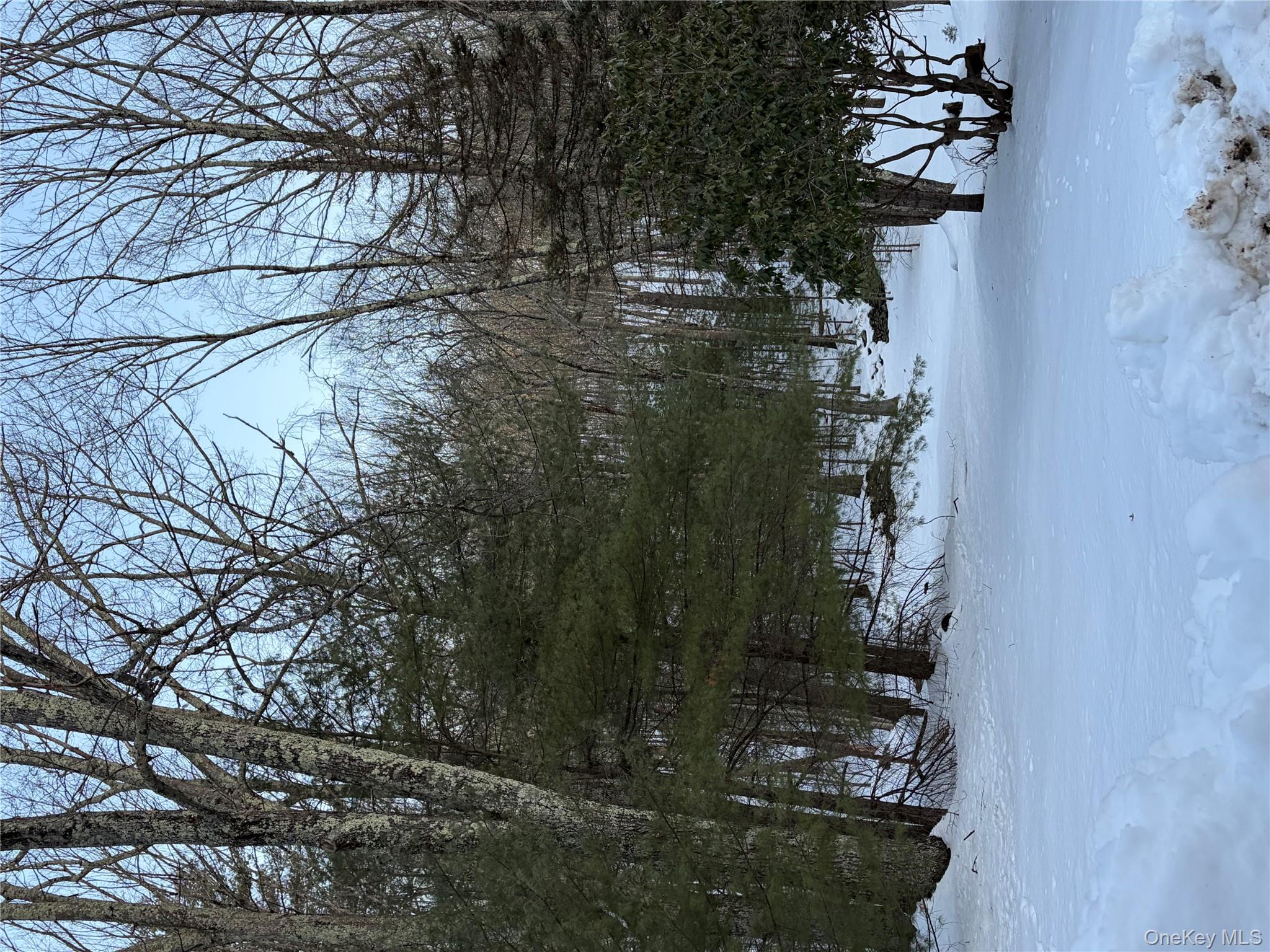 Red Hill Road Out of NYC Wurtsboro, NY 12790