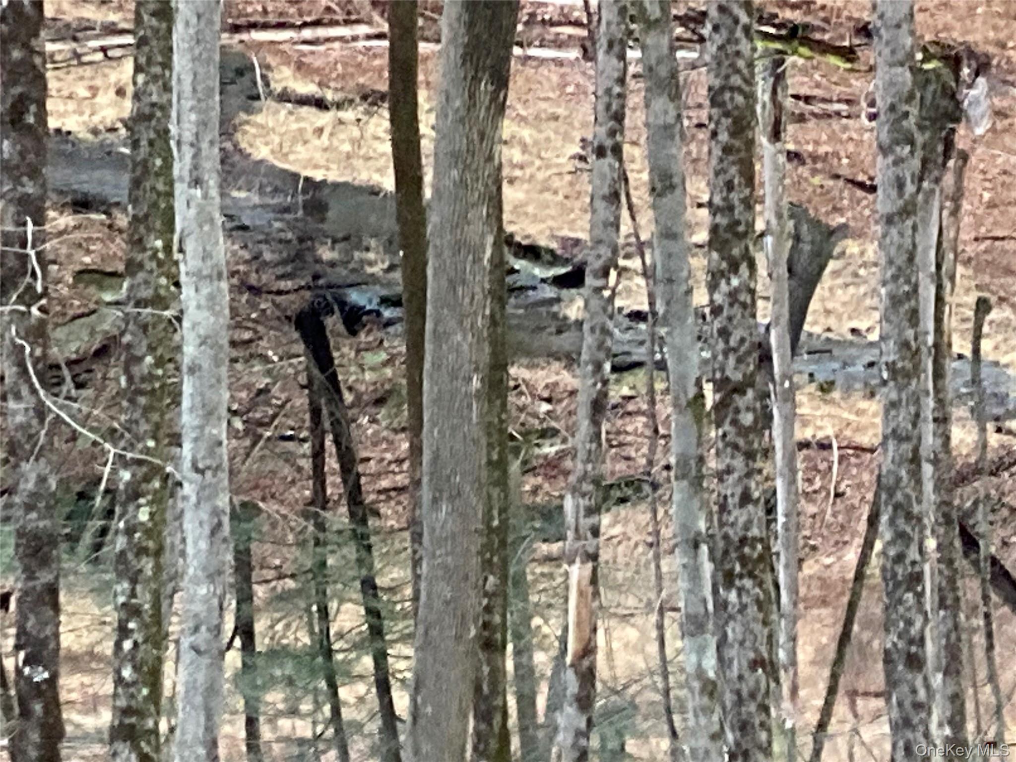 Red Hill Road Out of NYC Wurtsboro, NY 12790