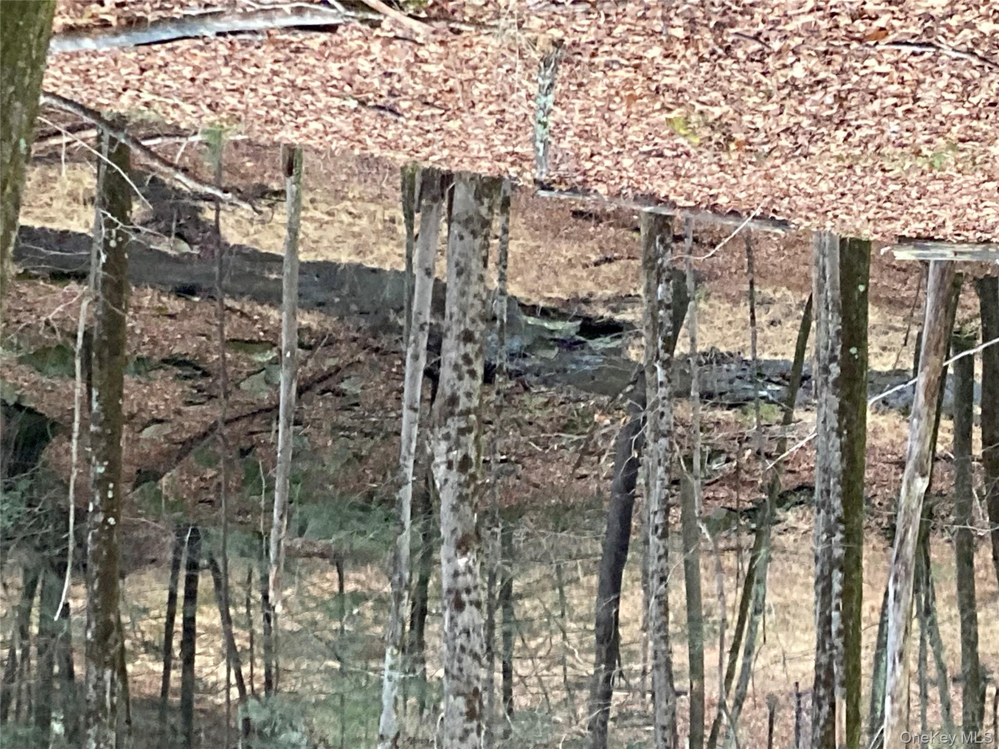 Red Hill Road Out of NYC Wurtsboro, NY 12790