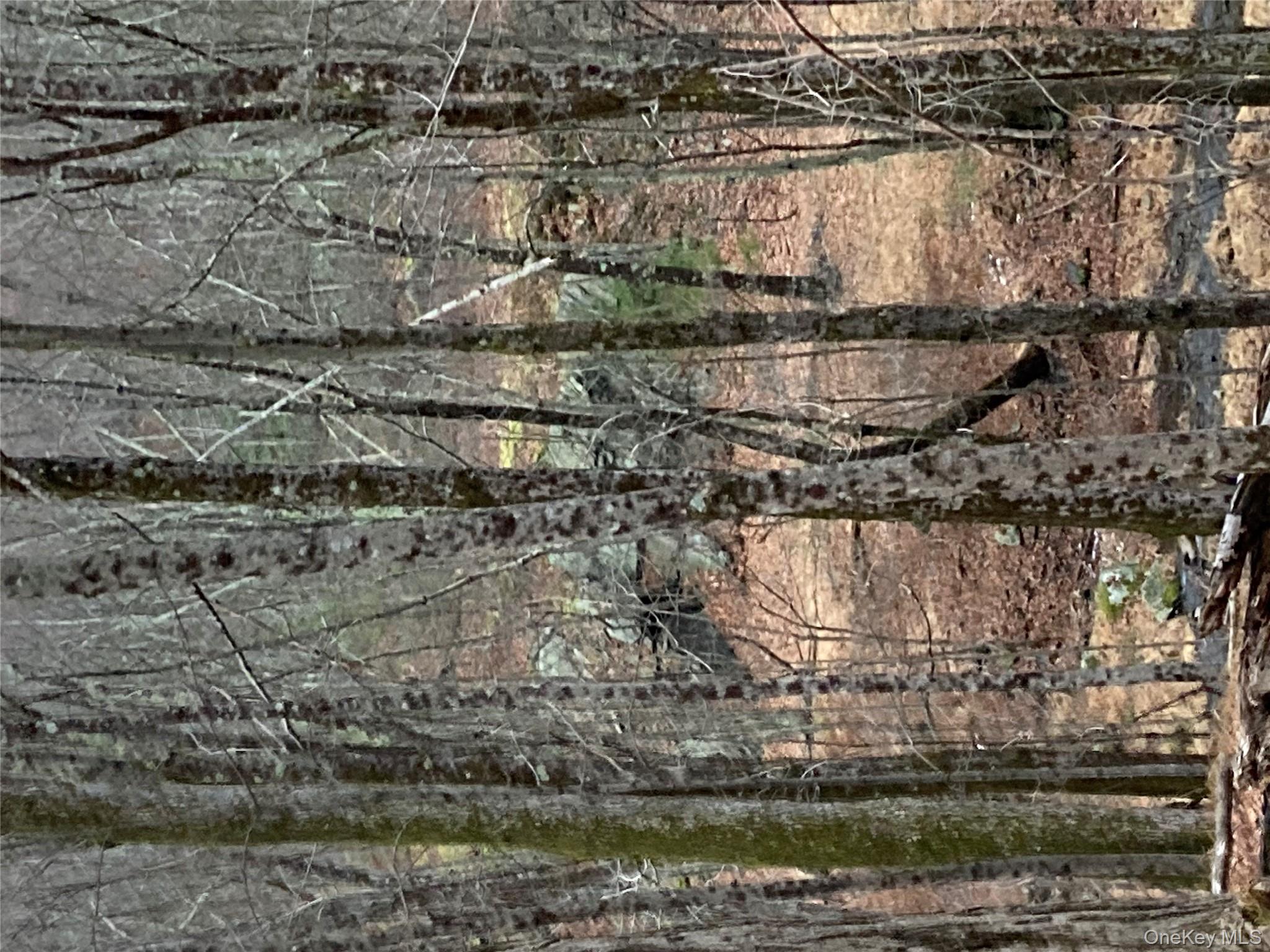 Red Hill Road Out of NYC Wurtsboro, NY 12790