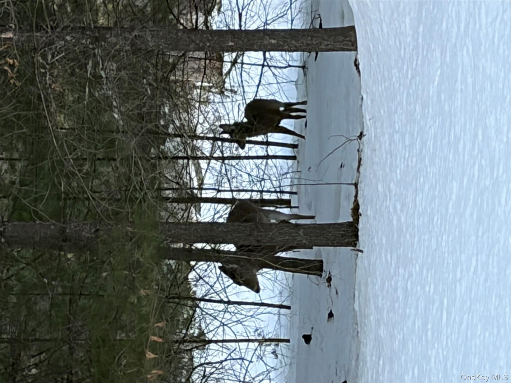 Red Hill Road Out of NYC Wurtsboro, NY 12790