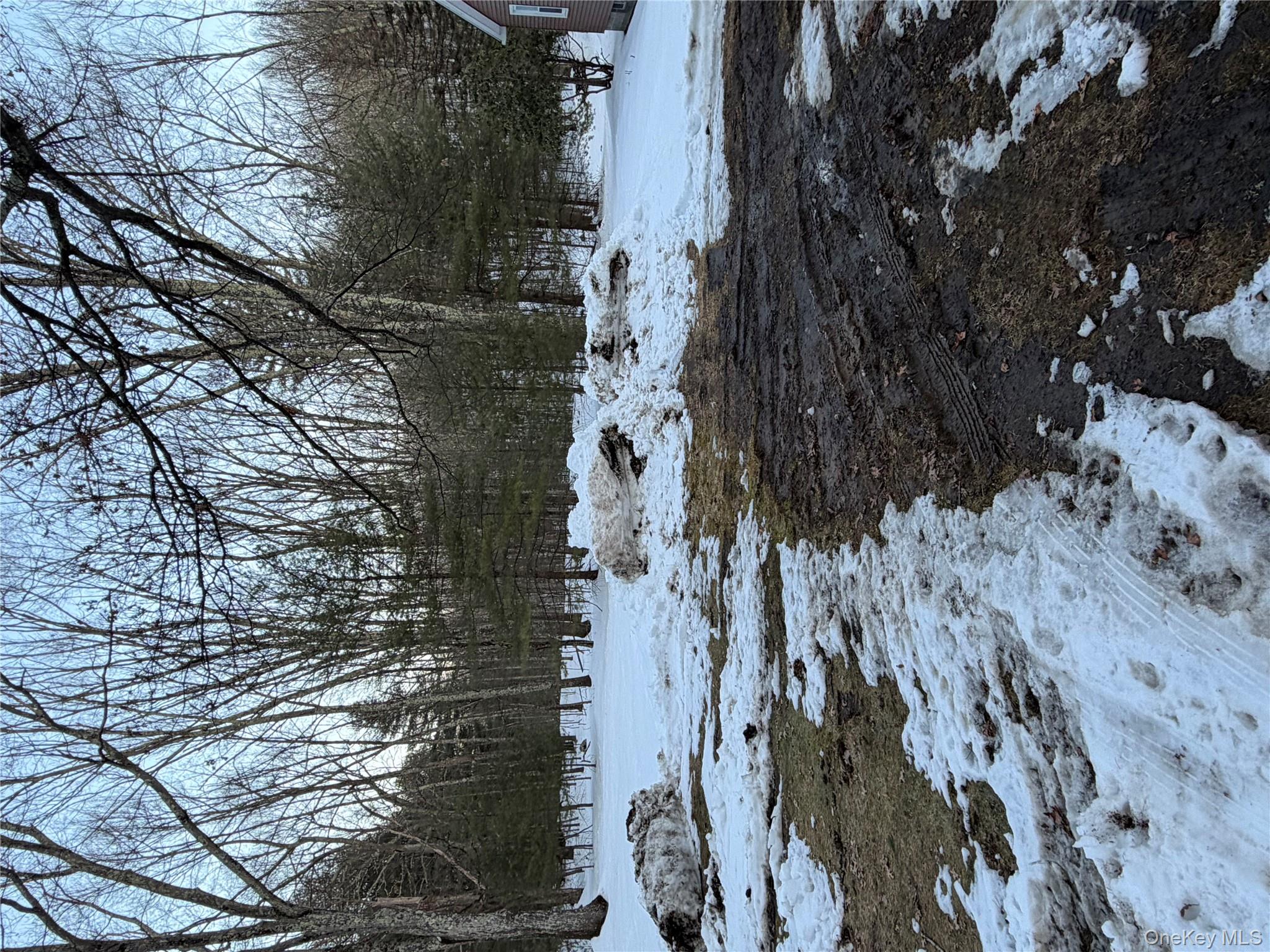 Red Hill Road Out of NYC Wurtsboro, NY 12790