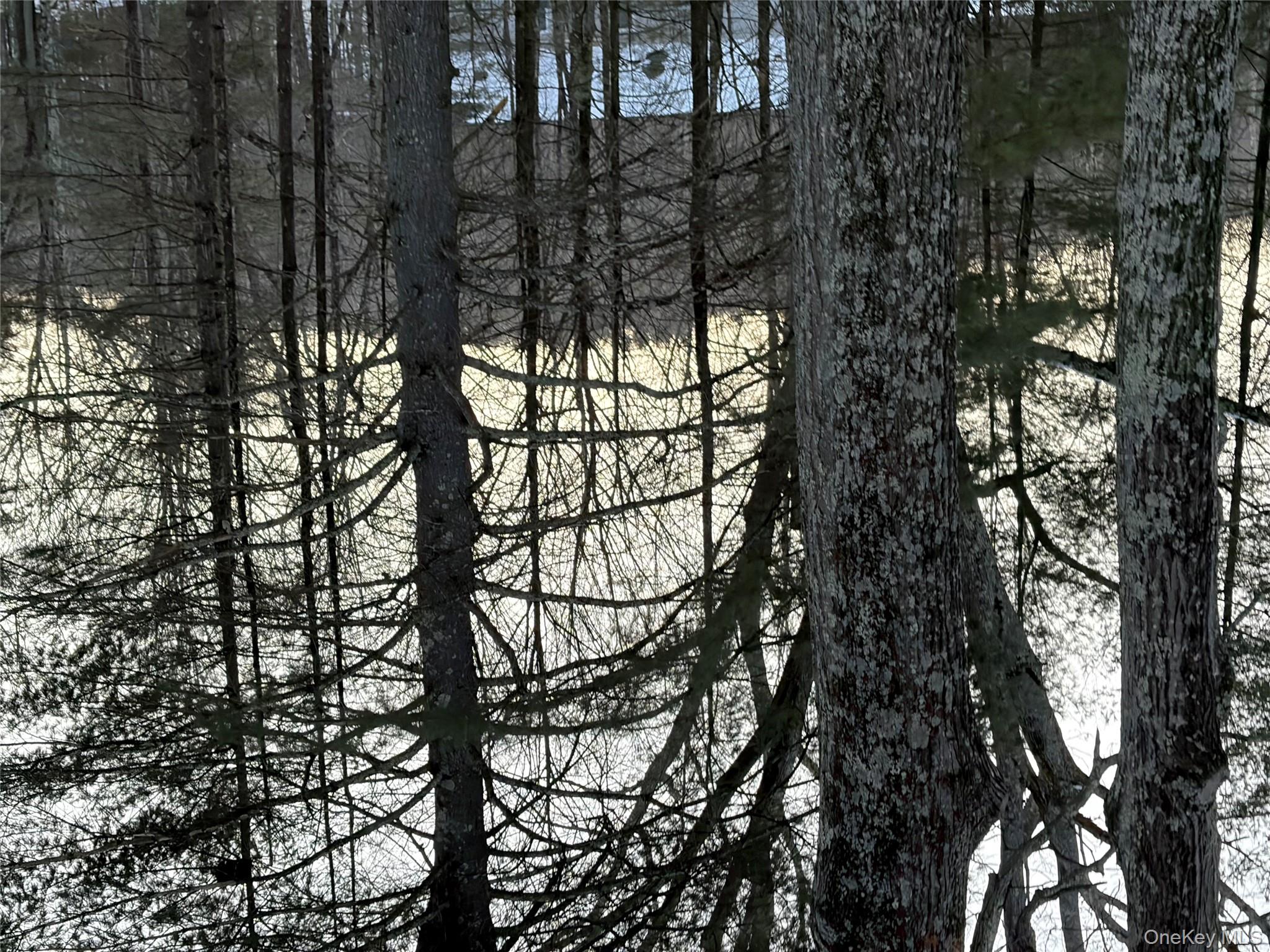 Red Hill Road Out of NYC Wurtsboro, NY 12790