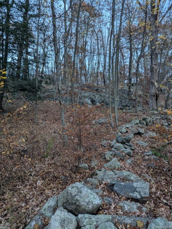 250 Hortontown Road Out of NYC Hopewell Junction, NY 12533