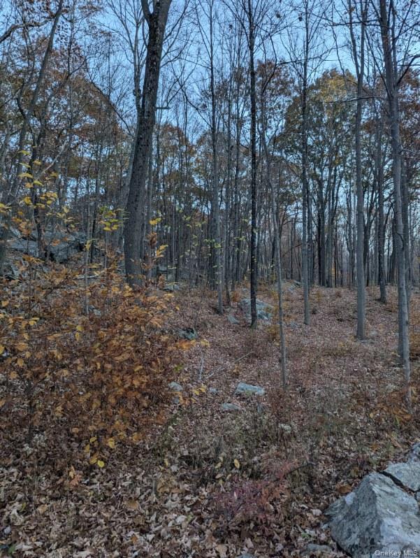 250 Hortontown Road Out of NYC Hopewell Junction, NY 12533