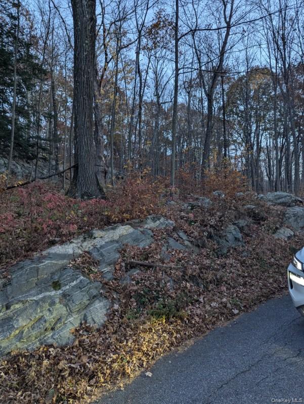 250 Hortontown Road Out of NYC Hopewell Junction, NY 12533