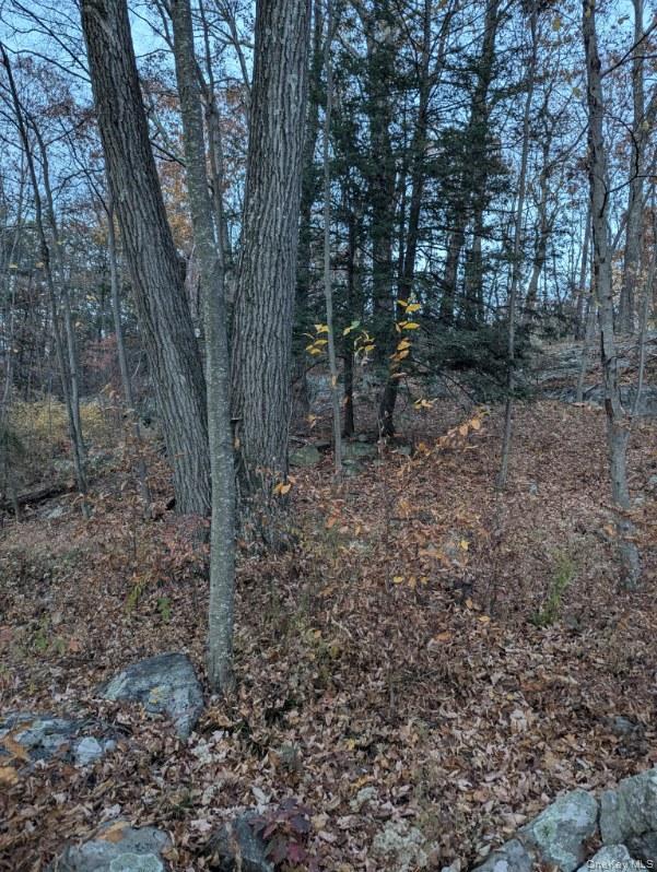 250 Hortontown Road Out of NYC Hopewell Junction, NY 12533