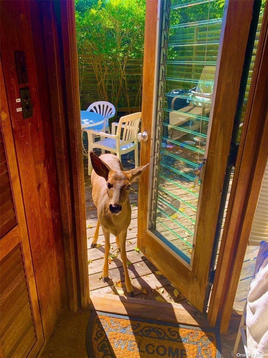 30 Gale Walk Seaview Seaview, NY 11770