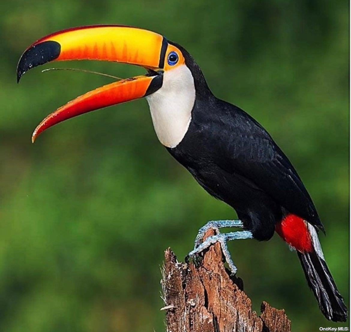 1505 Manoel Da Costa Out of NYC Call Listing Agent, NY 14400