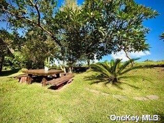 1505 Manoel Da Costa Out of NYC Call Listing Agent, NY 14400