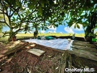 1505 Manoel Da Costa Out of NYC Call Listing Agent, NY 14400