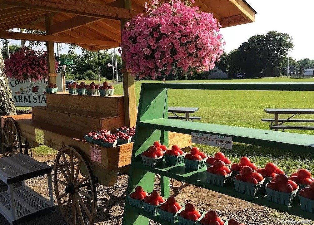 1100 Pine Avenue Southold Southold, NY 11971