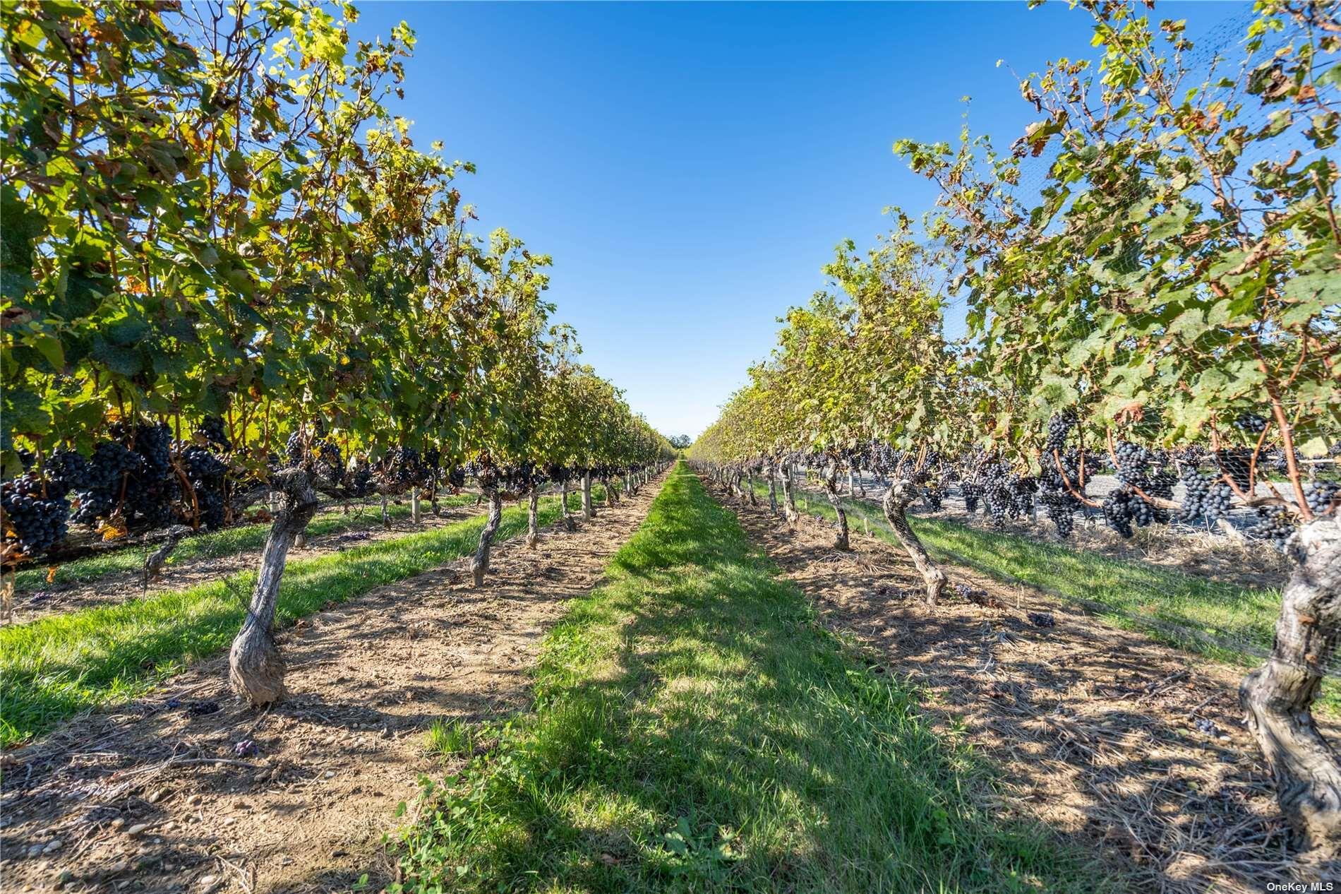 300 Marion Place East Marion East Marion, NY 11939