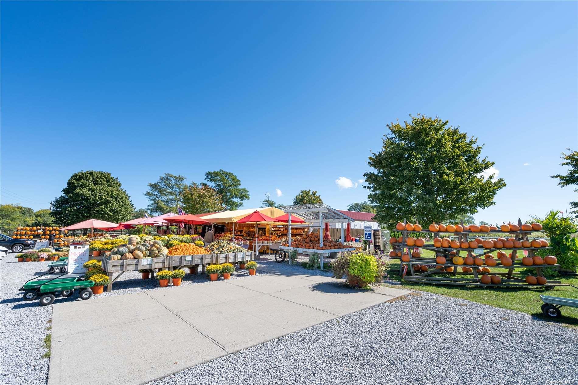 300 Marion Place East Marion East Marion, NY 11939