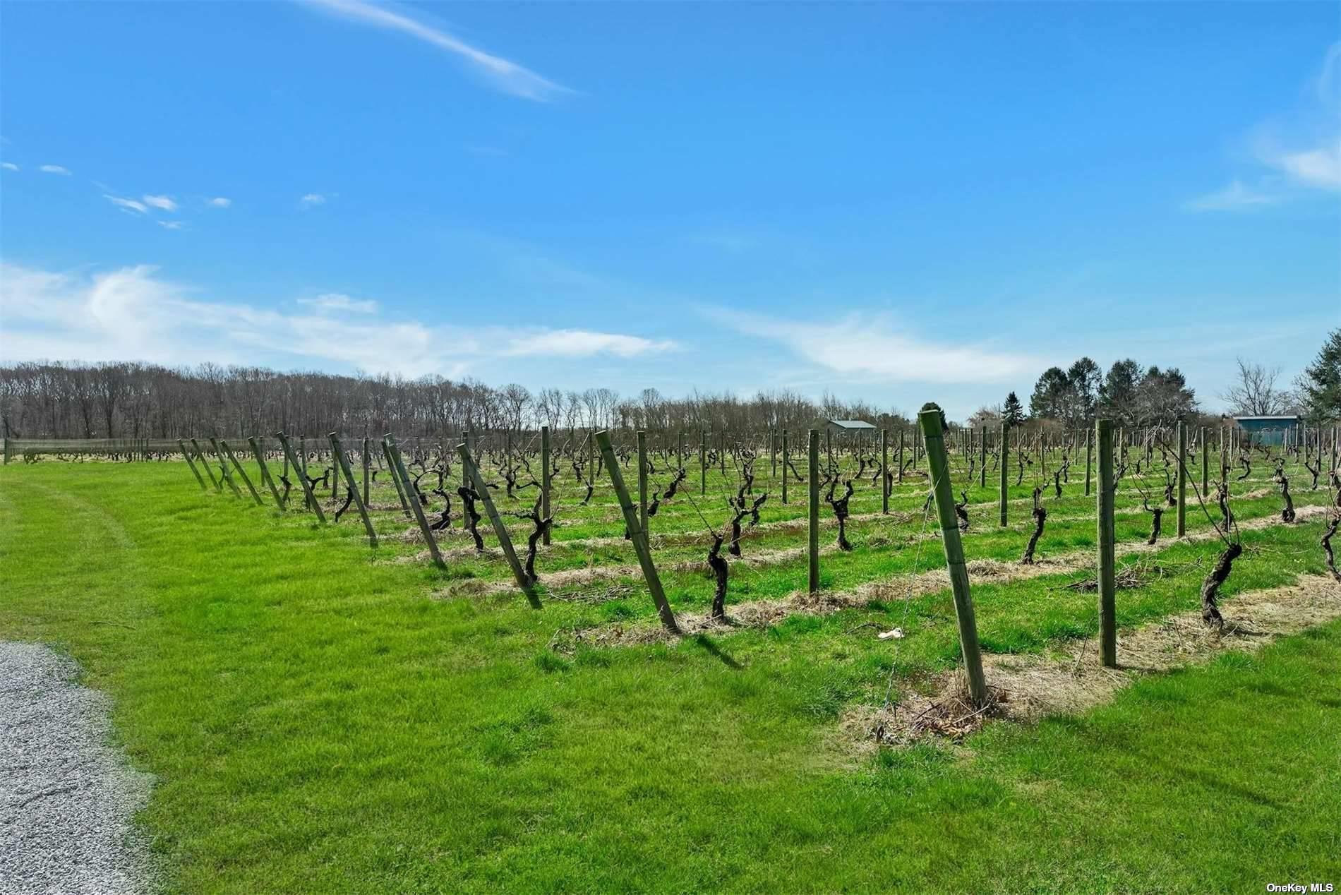 18910 Middle Road Cutchogue Cutchogue, NY 11935