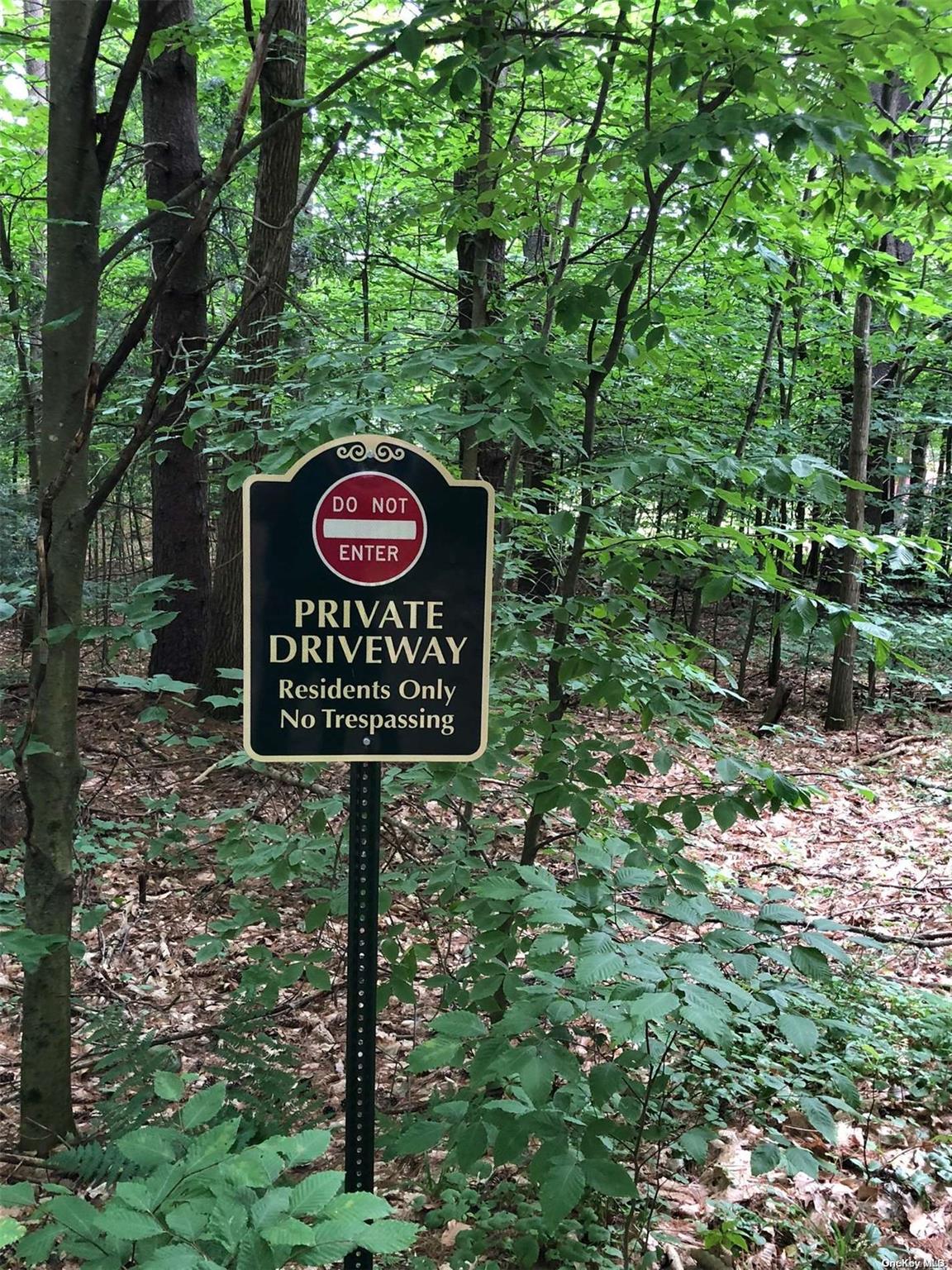 L20 White Birch Drive Out of NYC Call Listing Agent, NY 12846