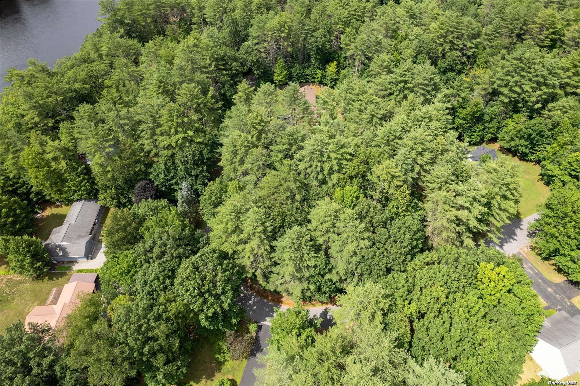 L20 White Birch Drive Out of NYC Call Listing Agent, NY 12846