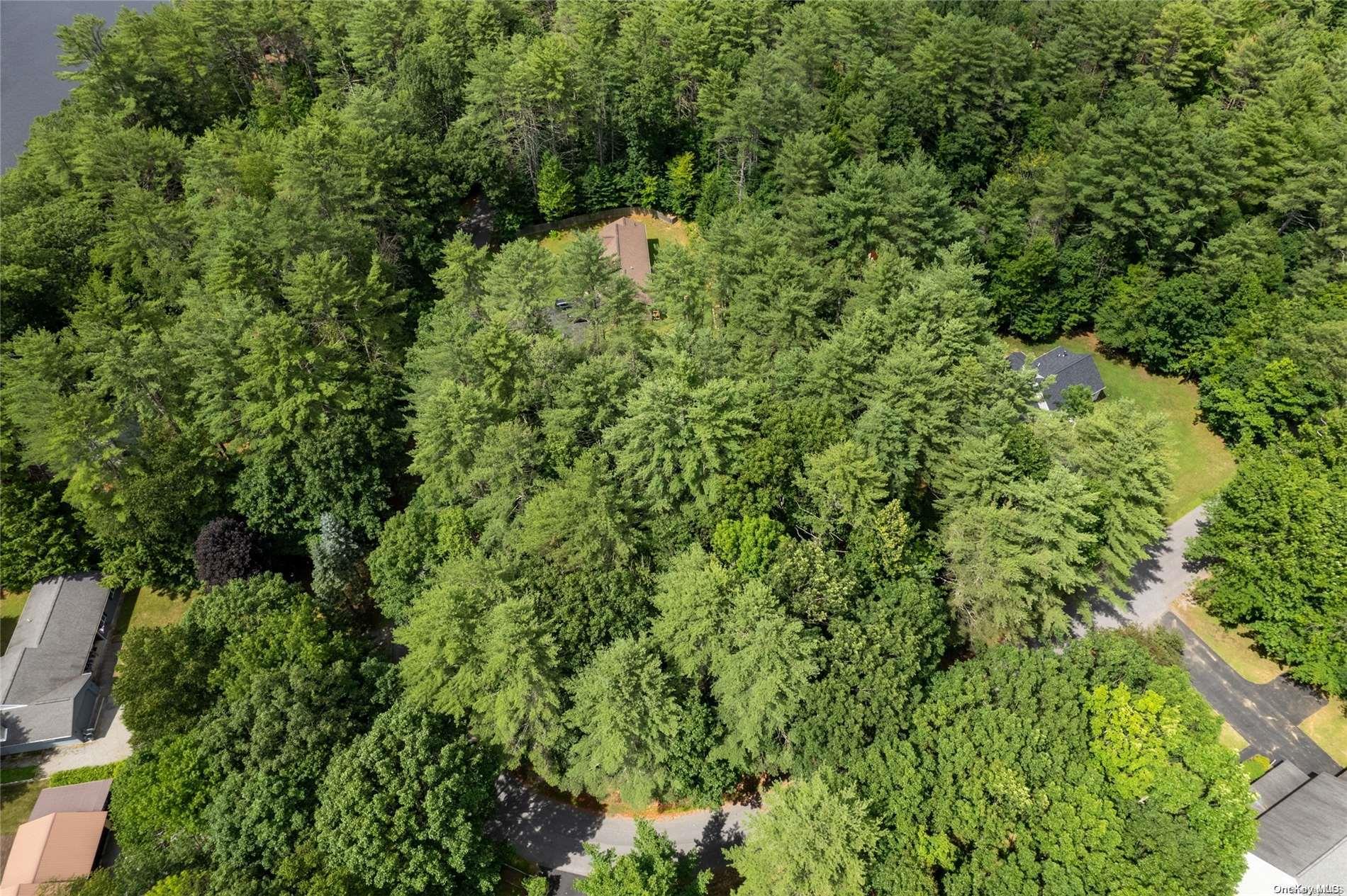 L20 White Birch Drive Out of NYC Call Listing Agent, NY 12846