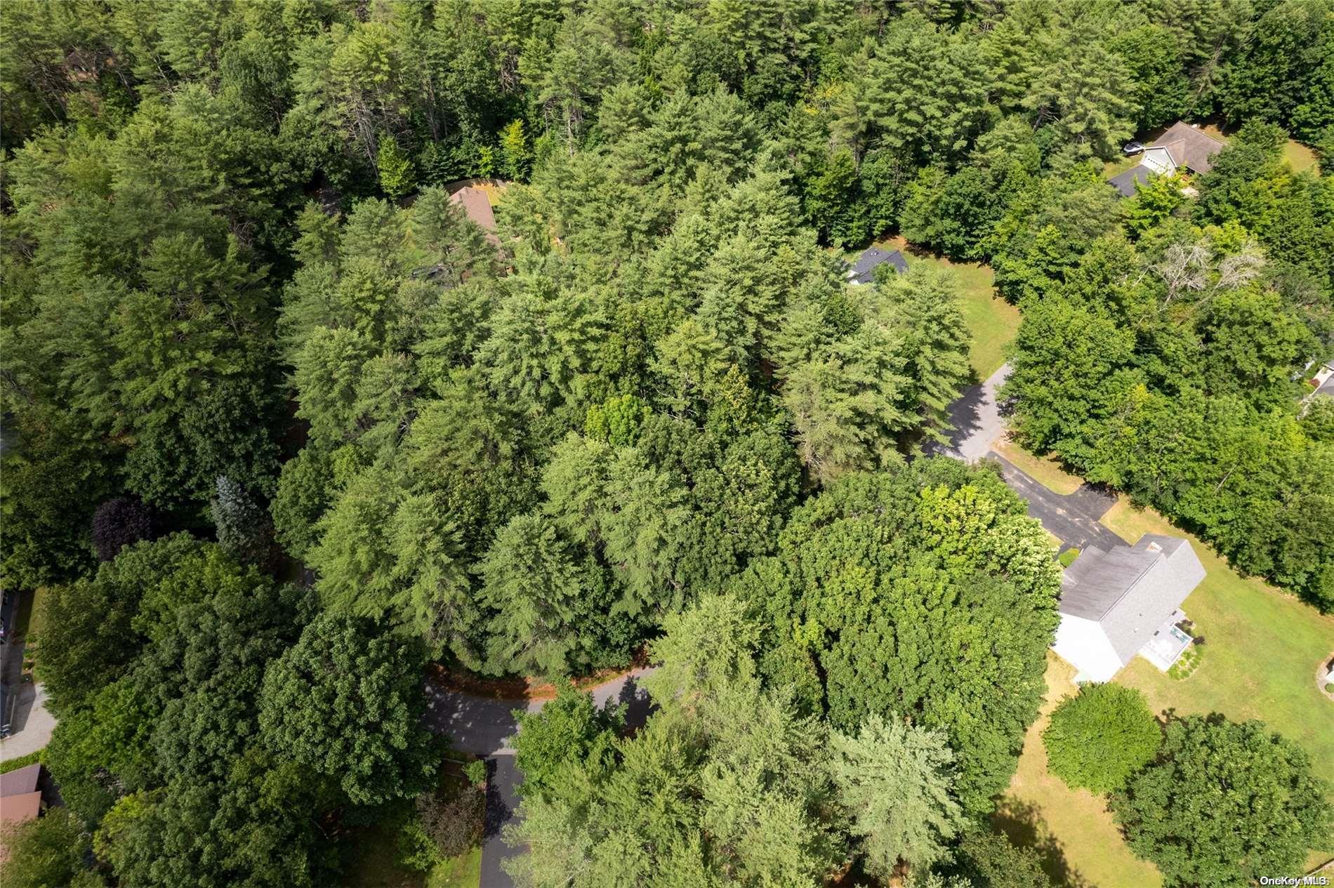 L20 White Birch Drive Out of NYC Call Listing Agent, NY 12846