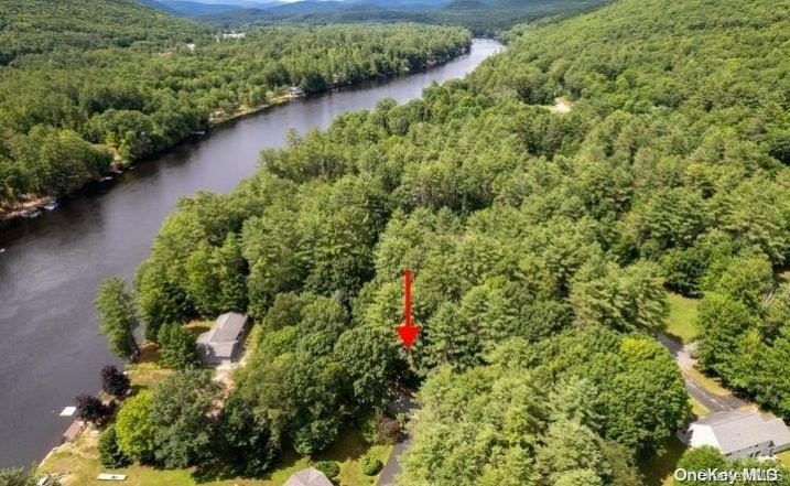 L20 White Birch Drive Out of NYC Call Listing Agent, NY 12846