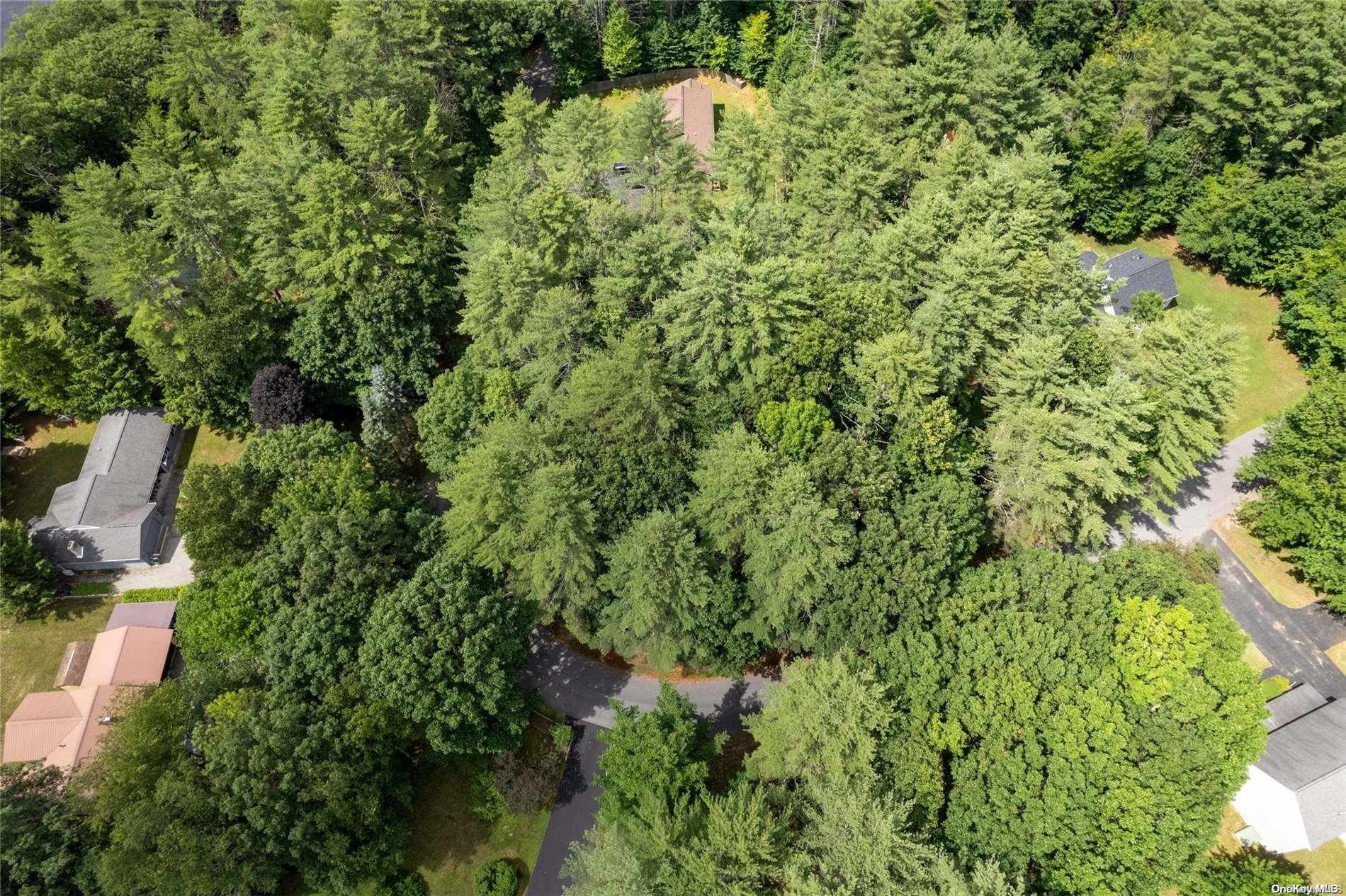 L20 White Birch Drive Out of NYC Call Listing Agent, NY 12846