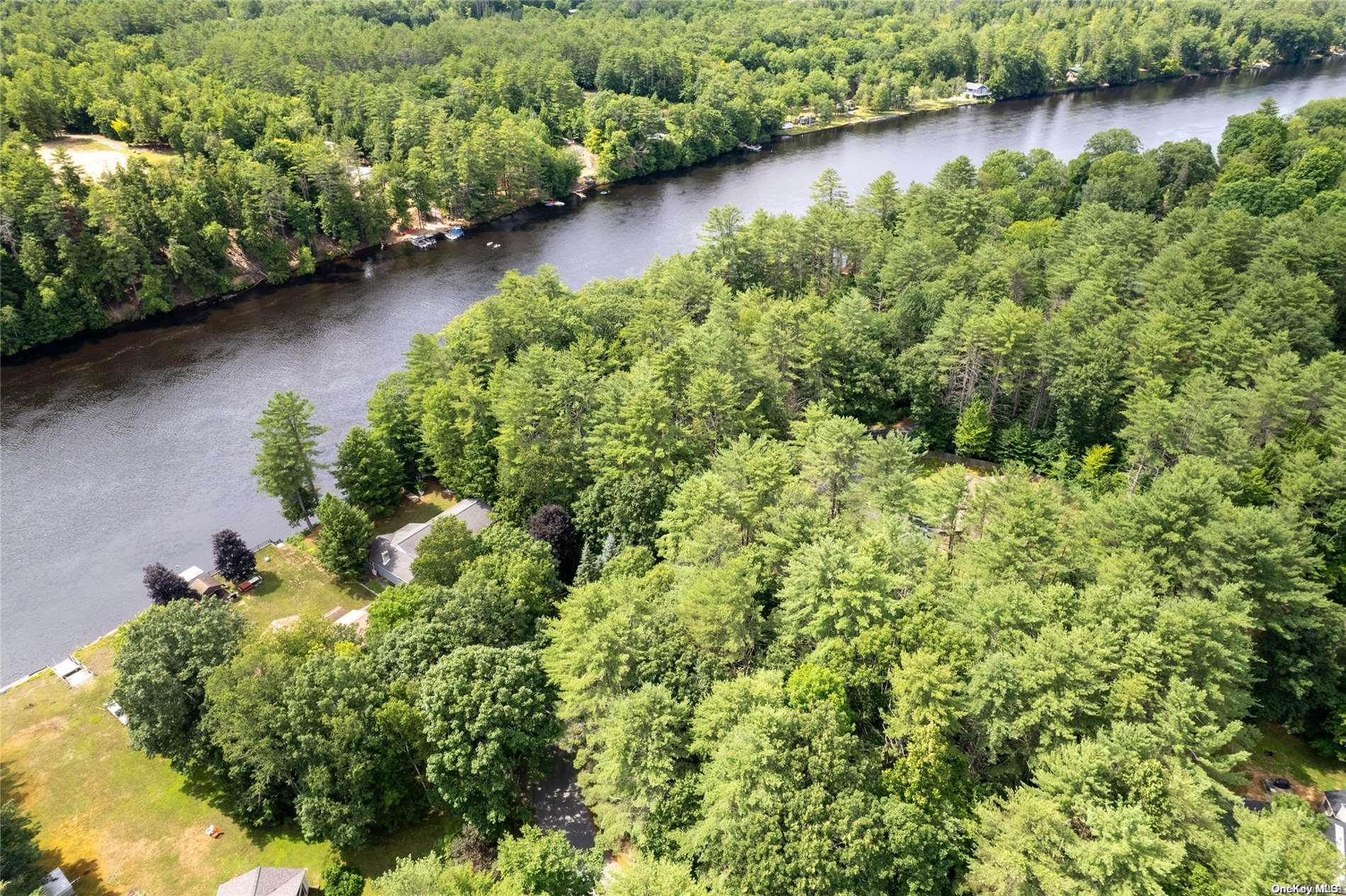 L20 White Birch Drive Out of NYC Call Listing Agent, NY 12846