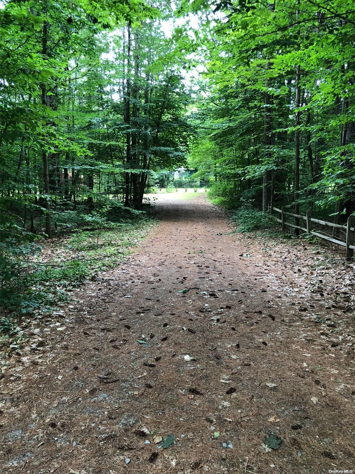 L20 White Birch Drive Out of NYC Call Listing Agent, NY 12846