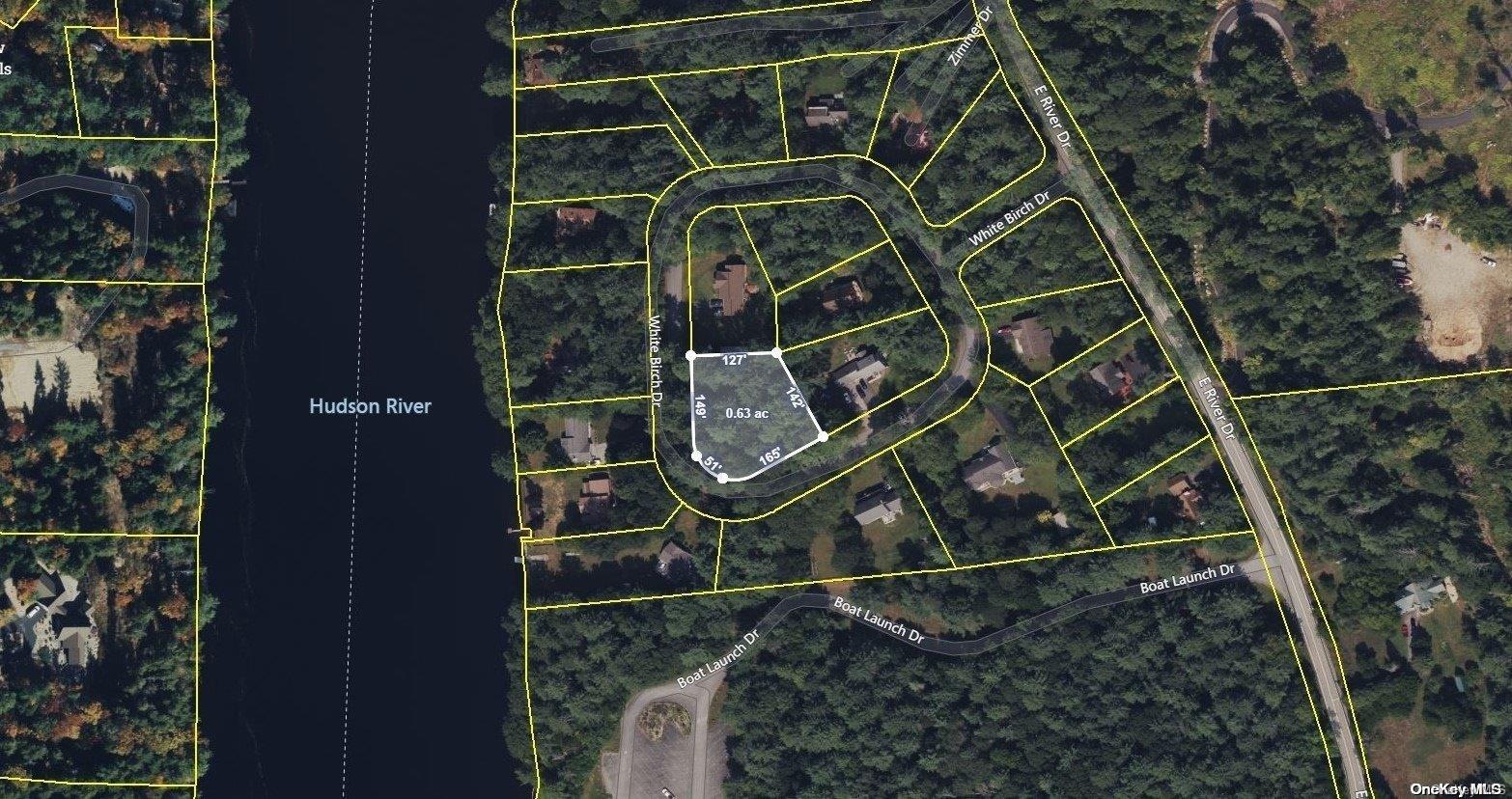 L20 White Birch Drive Out of NYC Call Listing Agent, NY 12846