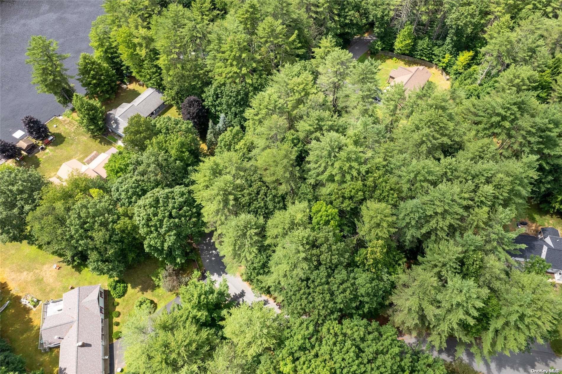 L20 White Birch Drive Out of NYC Call Listing Agent, NY 12846