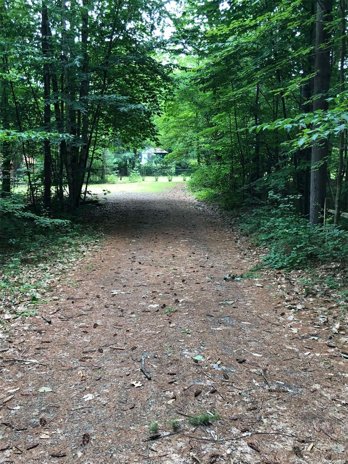 L20 White Birch Drive Out of NYC Call Listing Agent, NY 12846