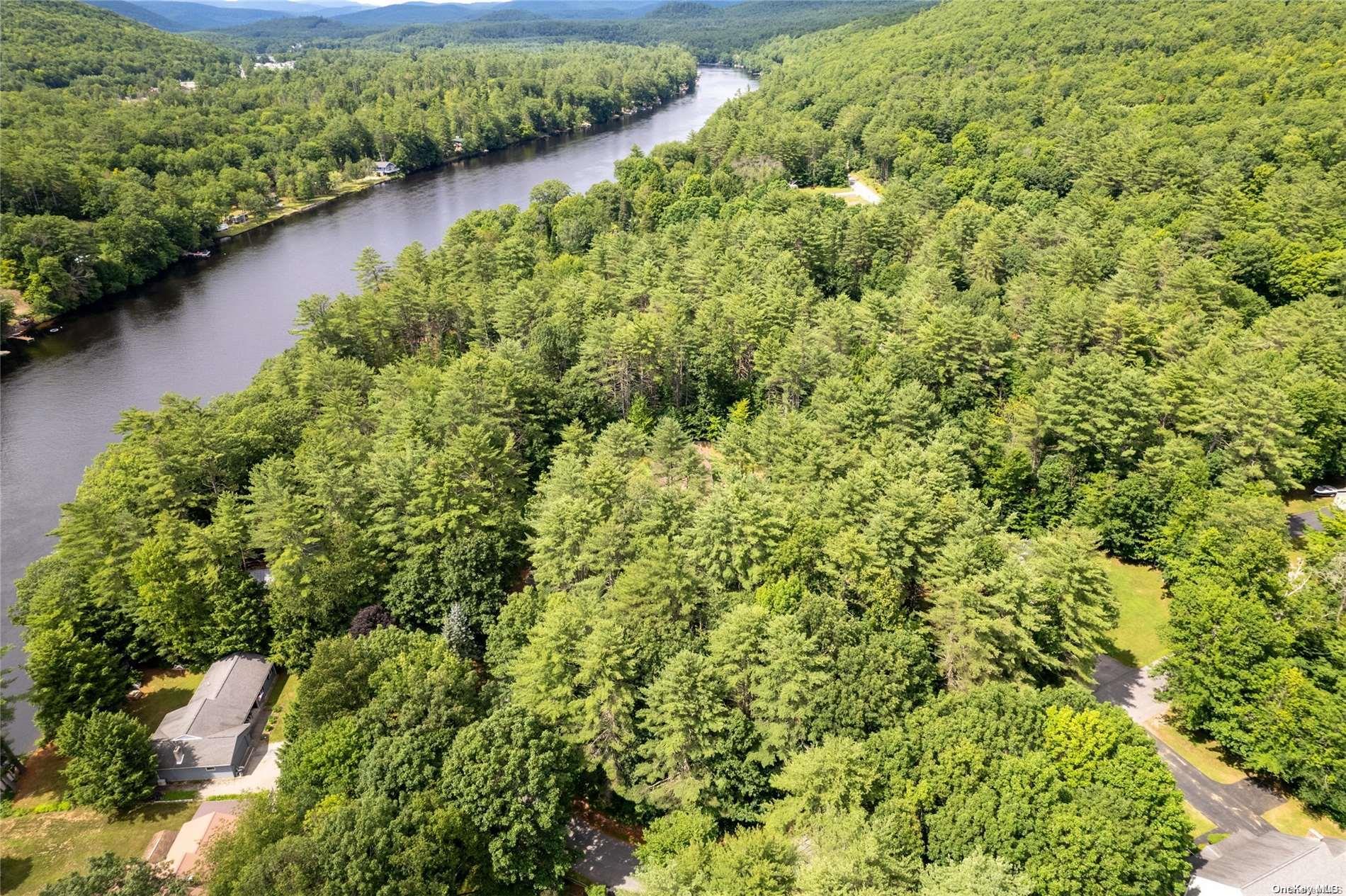 L20 White Birch Drive Out of NYC Call Listing Agent, NY 12846